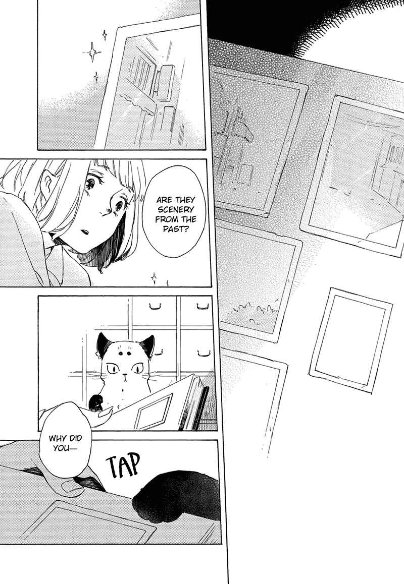 Page 18 Chapter 3 The Antique Cat Shop