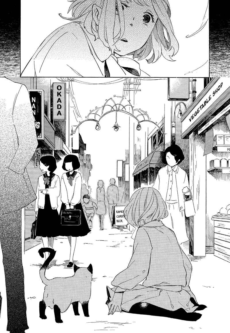 Page 20 Chapter 3 The Antique Cat Shop