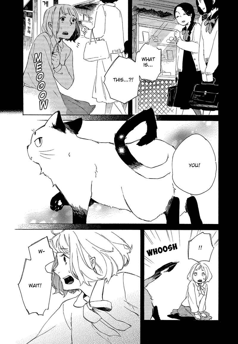 Page 21 Chapter 3 The Antique Cat Shop