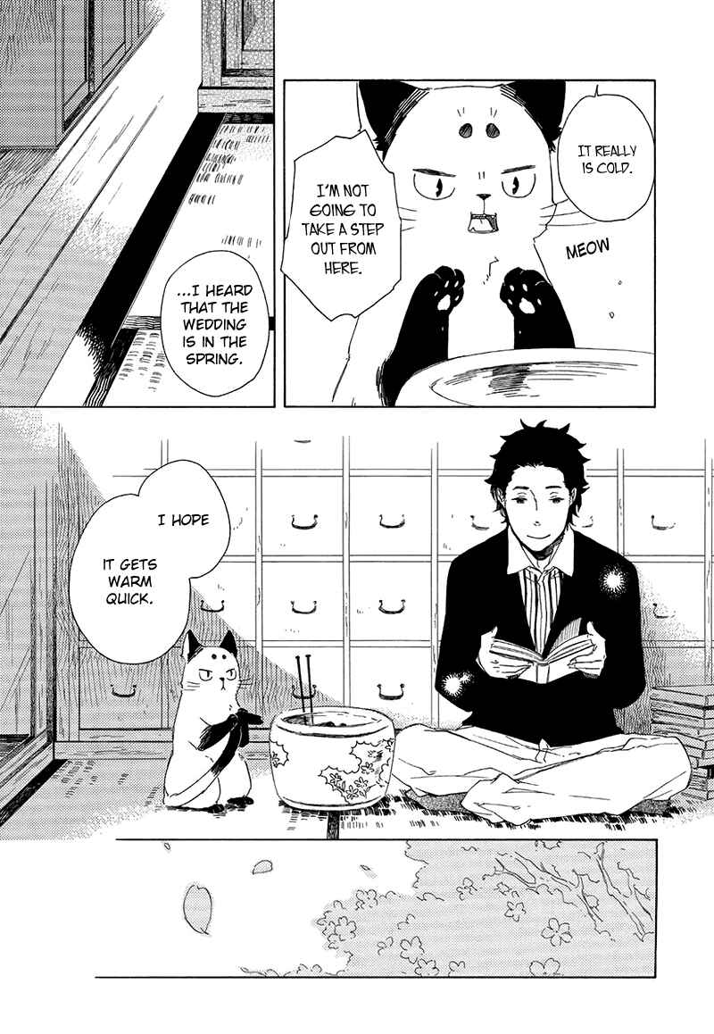 Page 41 Chapter 3 The Antique Cat Shop