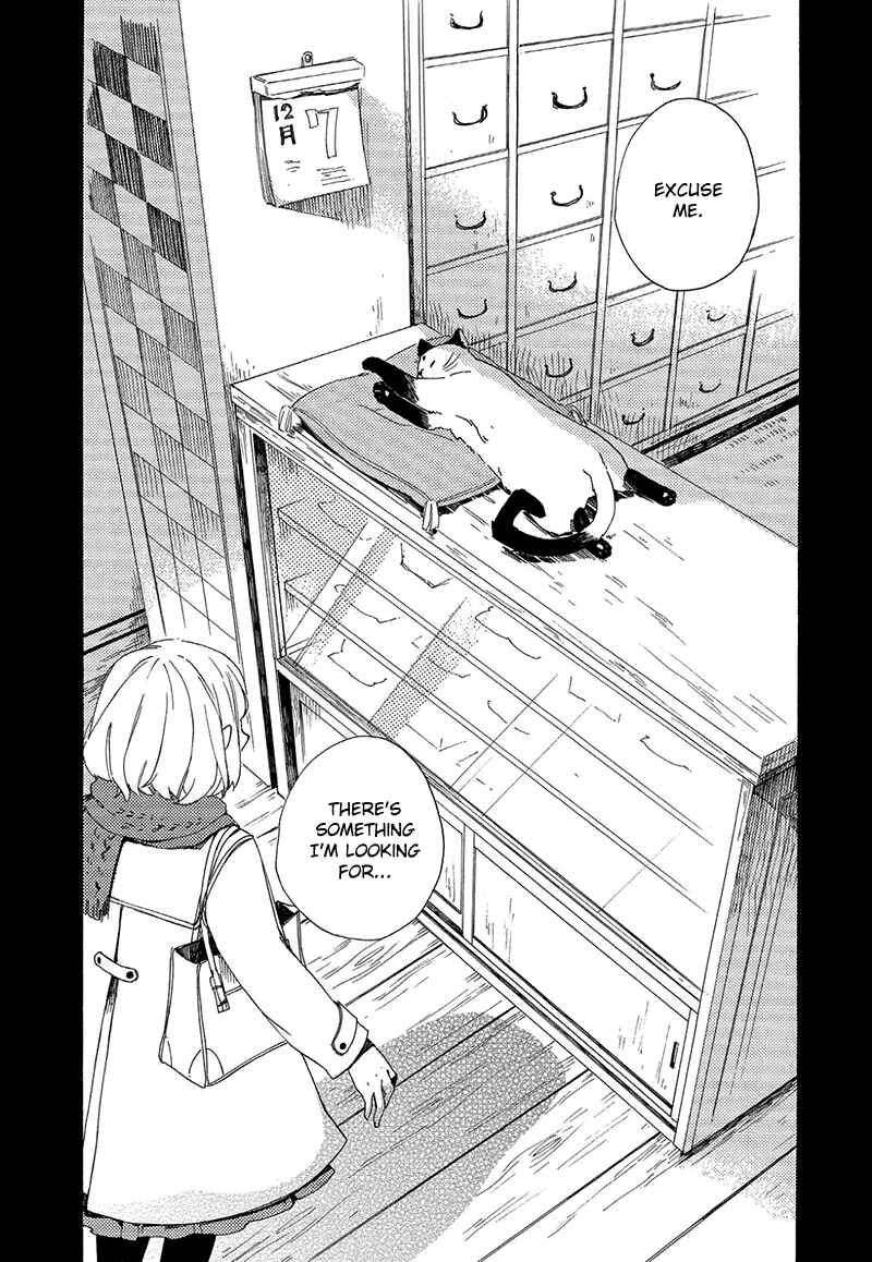 Page 6 Chapter 3 The Antique Cat Shop
