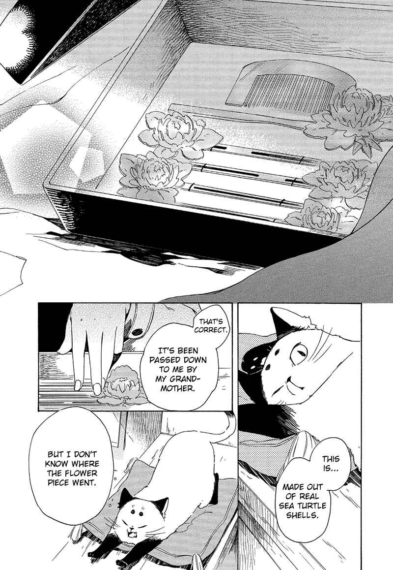 Page 8 Chapter 3 The Antique Cat Shop