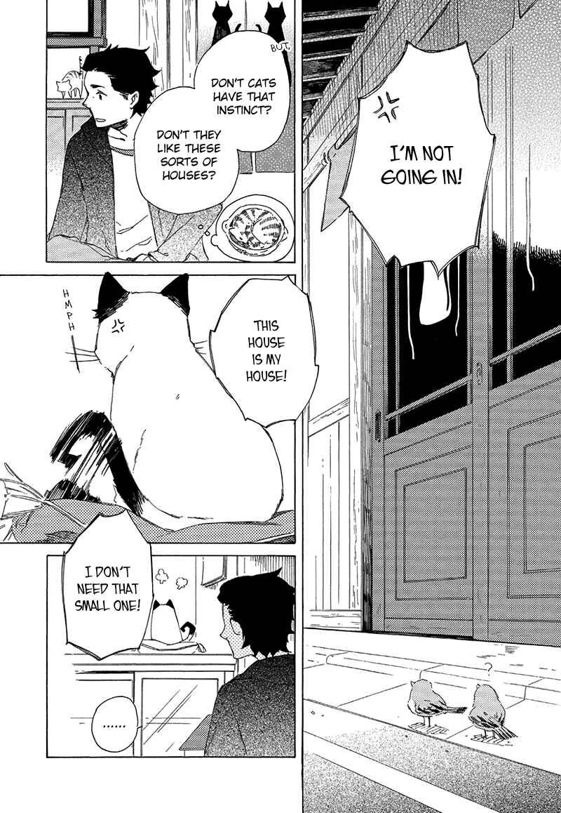 Page 2 Chapter 2.5 The Antique Cat Shop