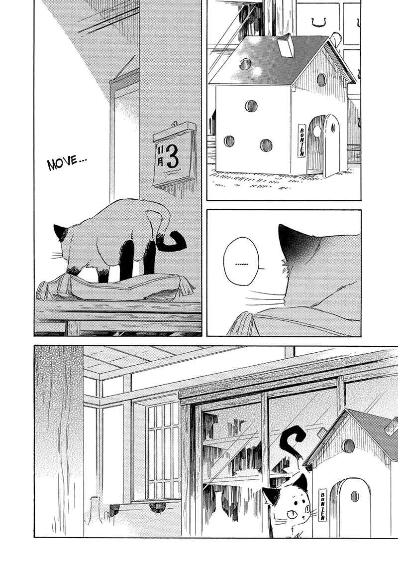 Page 4 Chapter 2.5 The Antique Cat Shop