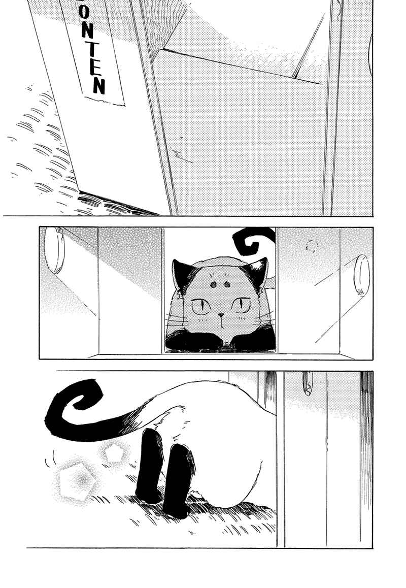 Page 5 Chapter 2.5 The Antique Cat Shop