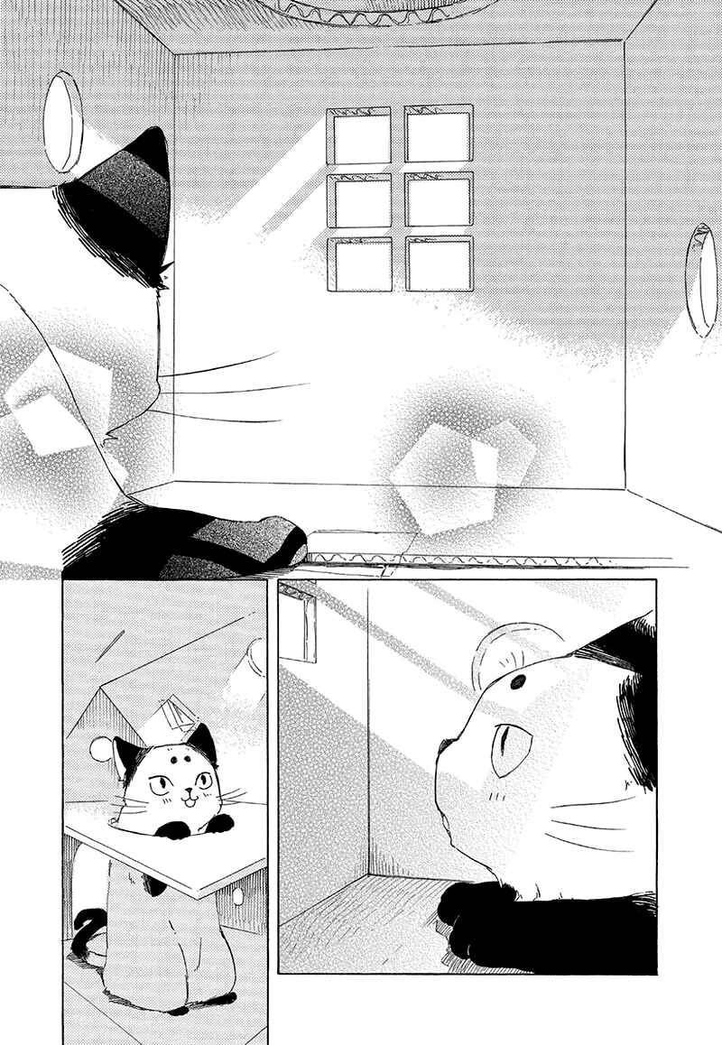 Page 6 Chapter 2.5 The Antique Cat Shop