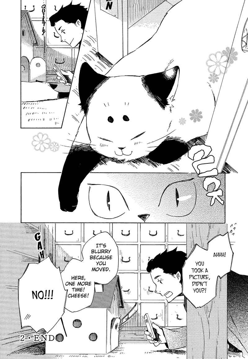 Page 8 Chapter 2.5 The Antique Cat Shop