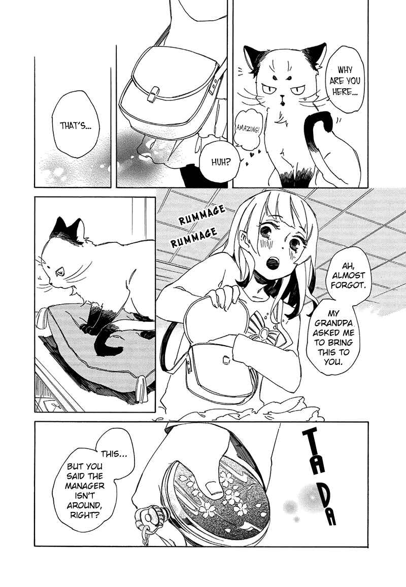 Page 10 Chapter 2 The Antique Cat Shop