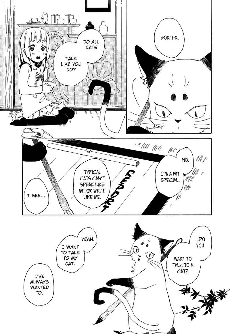 Page 17 Chapter 2 The Antique Cat Shop