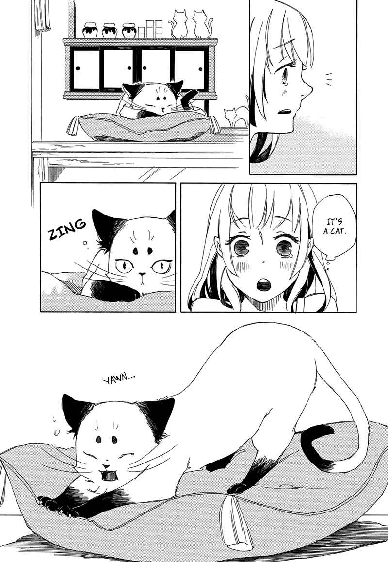 Page 7 Chapter 2 The Antique Cat Shop