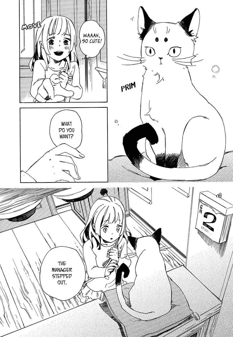 Page 8 Chapter 2 The Antique Cat Shop