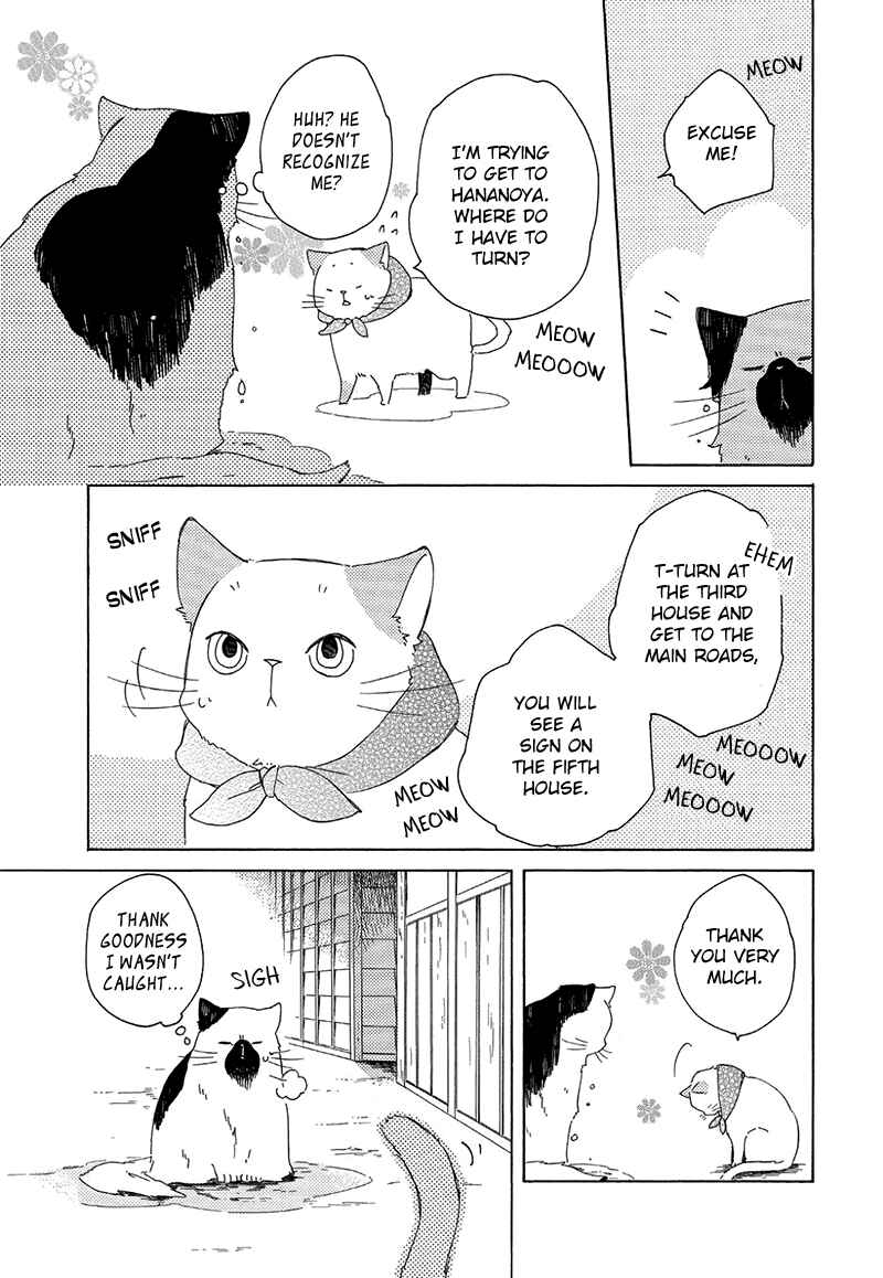 Page 19 Chapter 5 The Antique Cat Shop