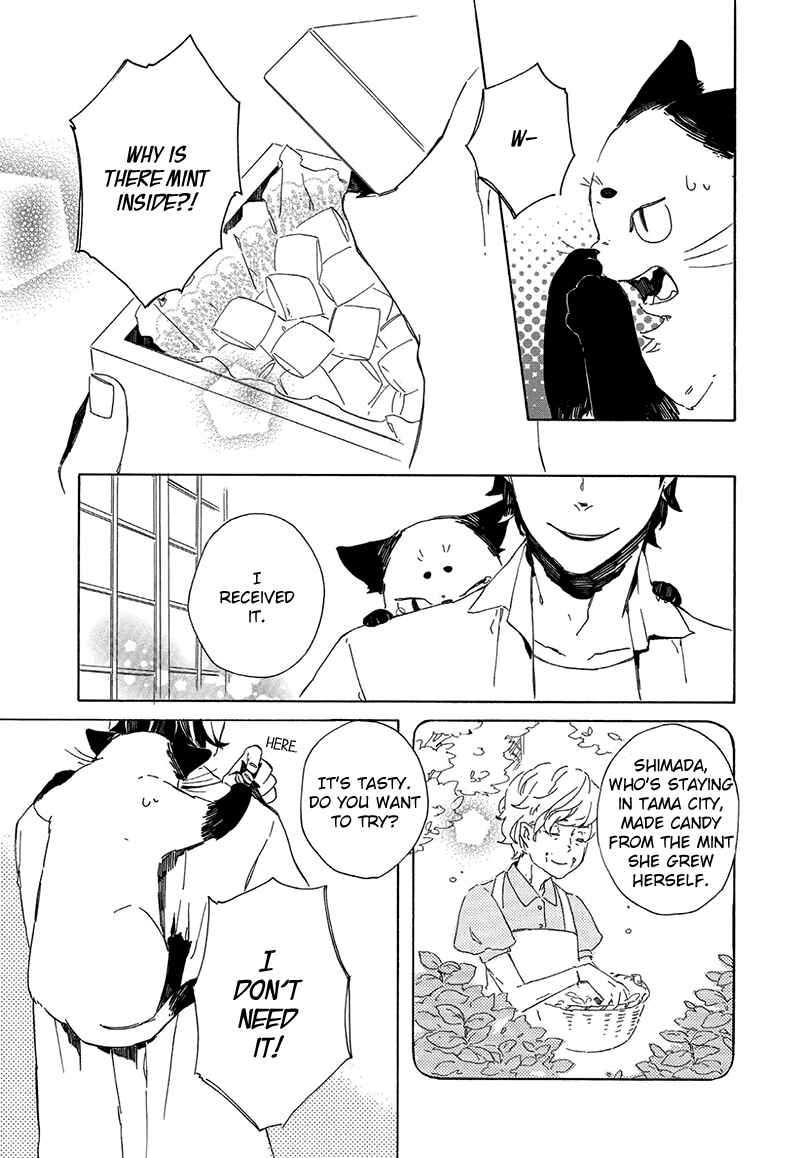 Page 7 Chapter 1.5 The Antique Cat Shop