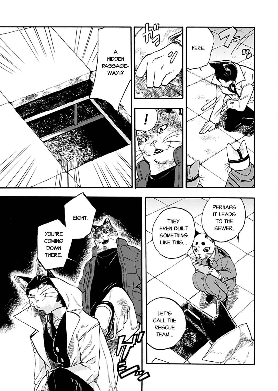 Page 13 Chapter 4 Buddy Cat
