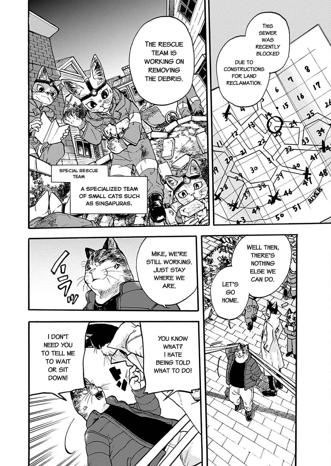 Page 6 Chapter 4 Buddy Cat