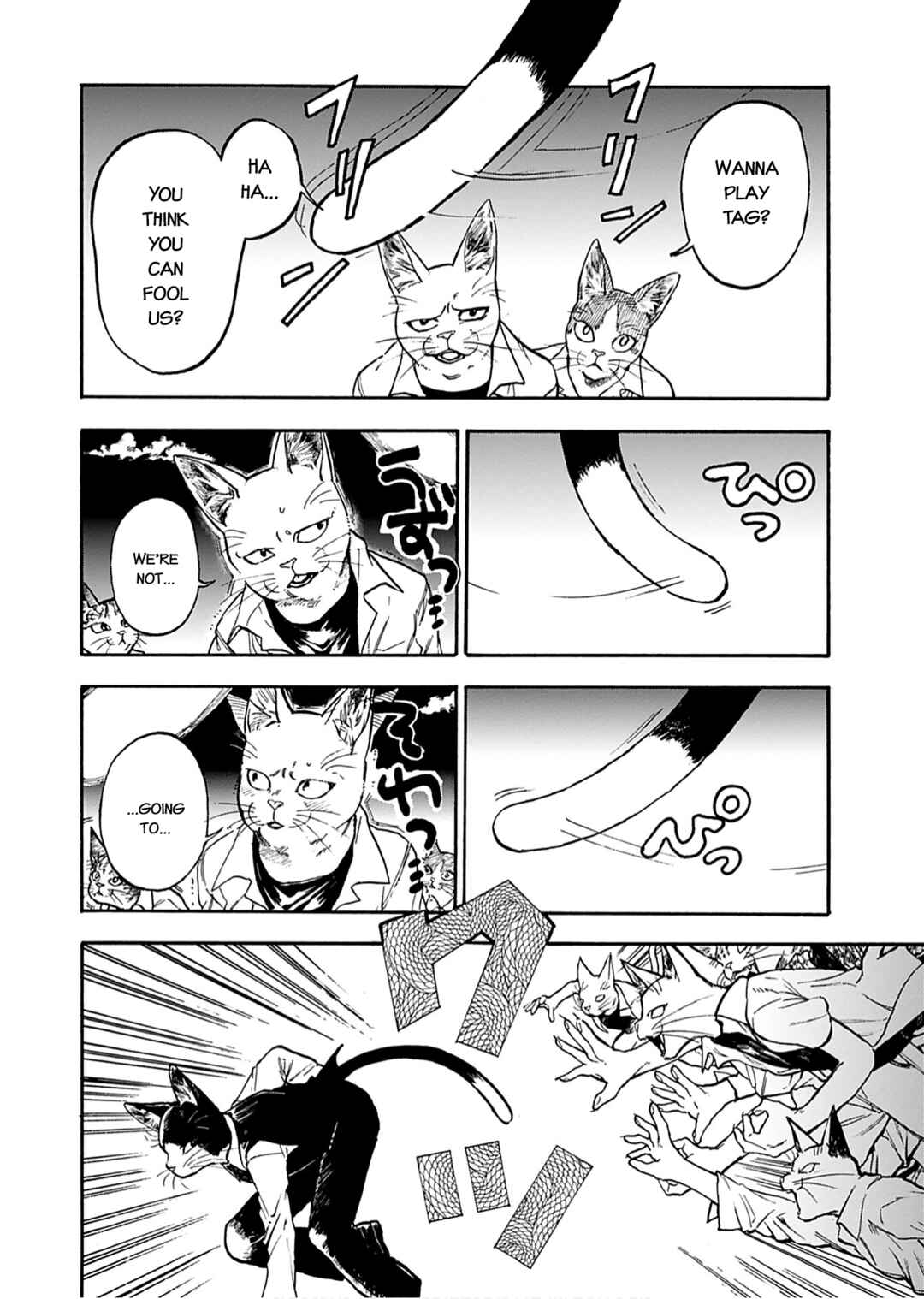 Page 16 Chapter 2 Buddy Cat