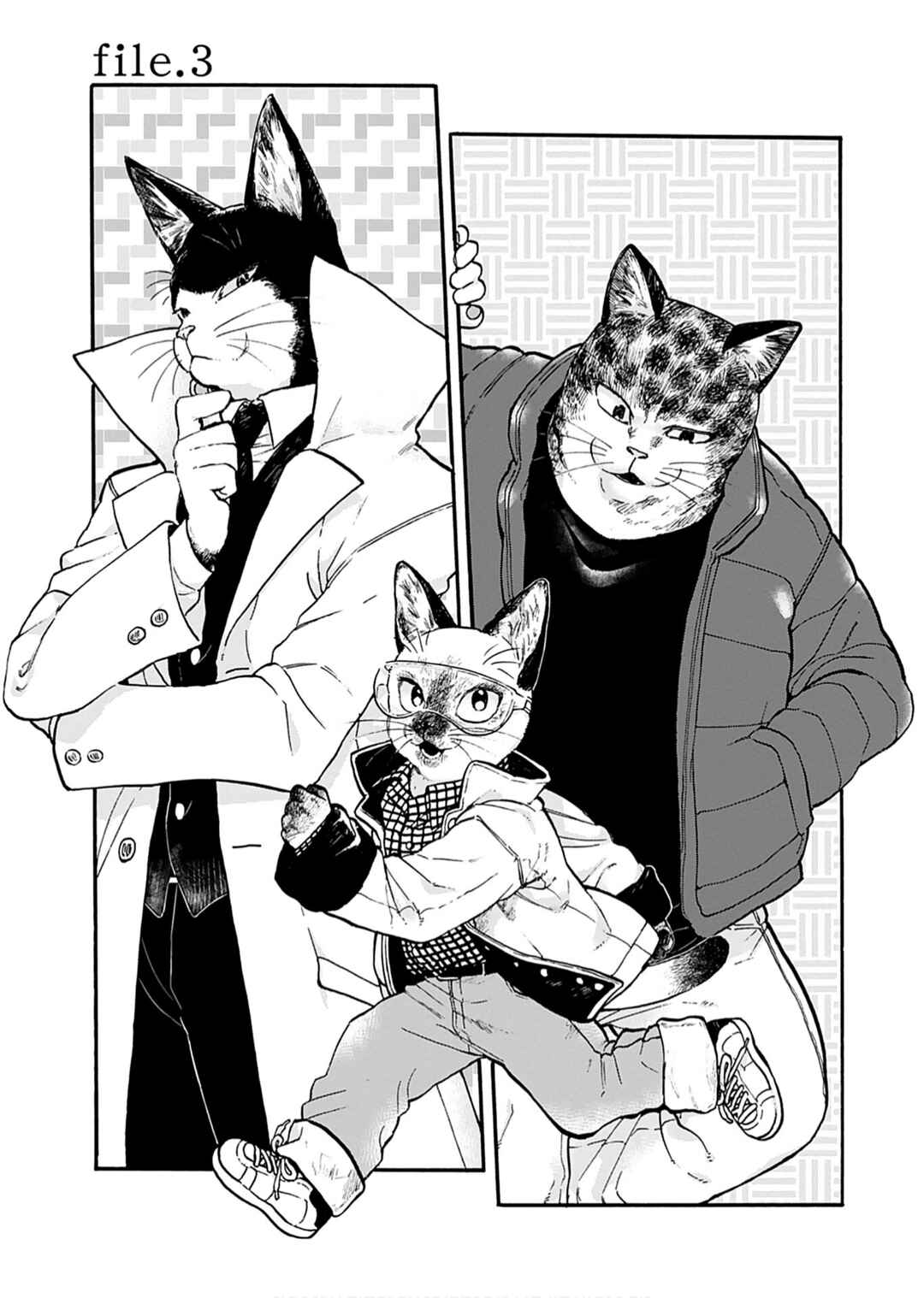 Page 1 Chapter 3 Buddy Cat