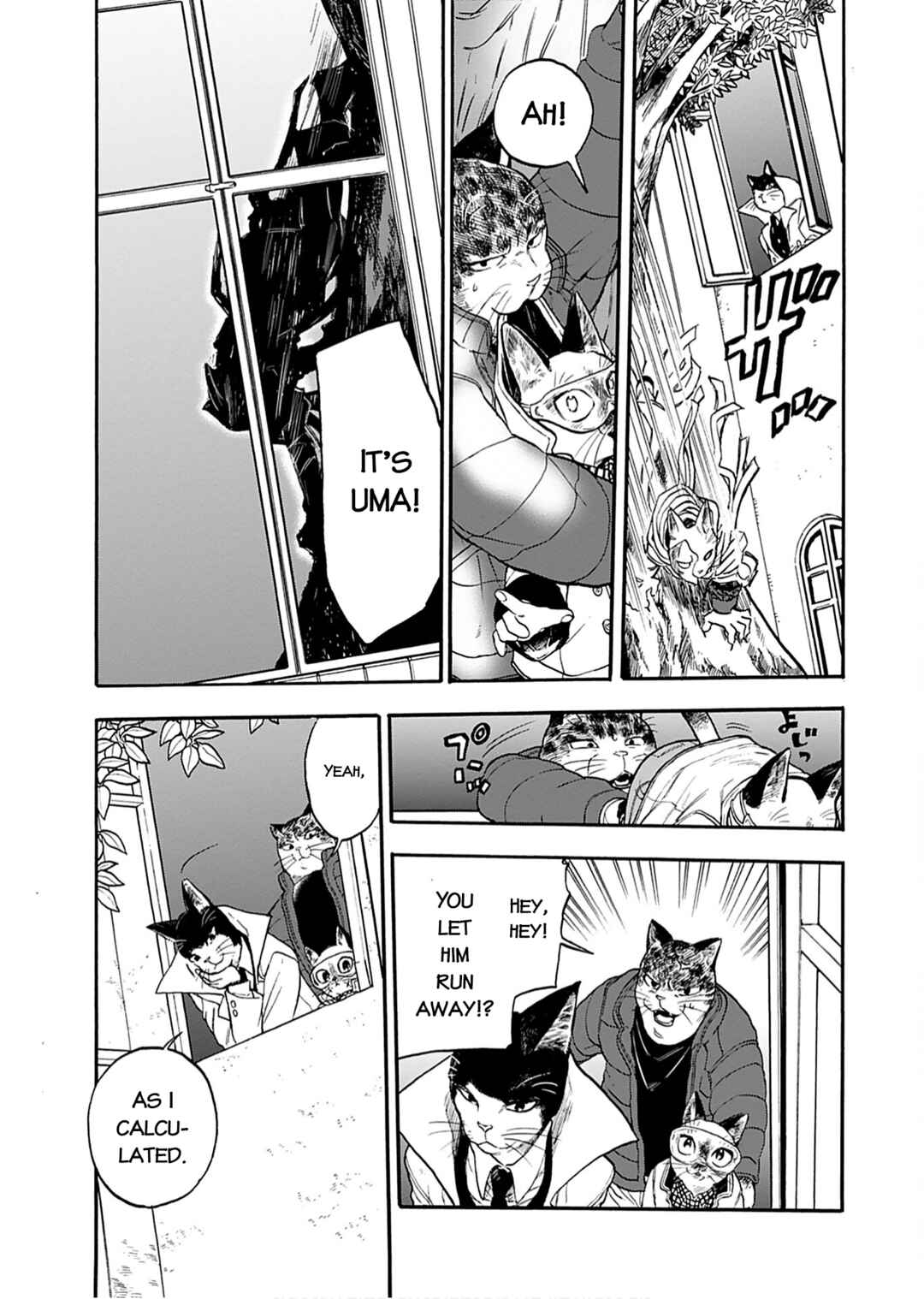 Page 15 Chapter 3 Buddy Cat