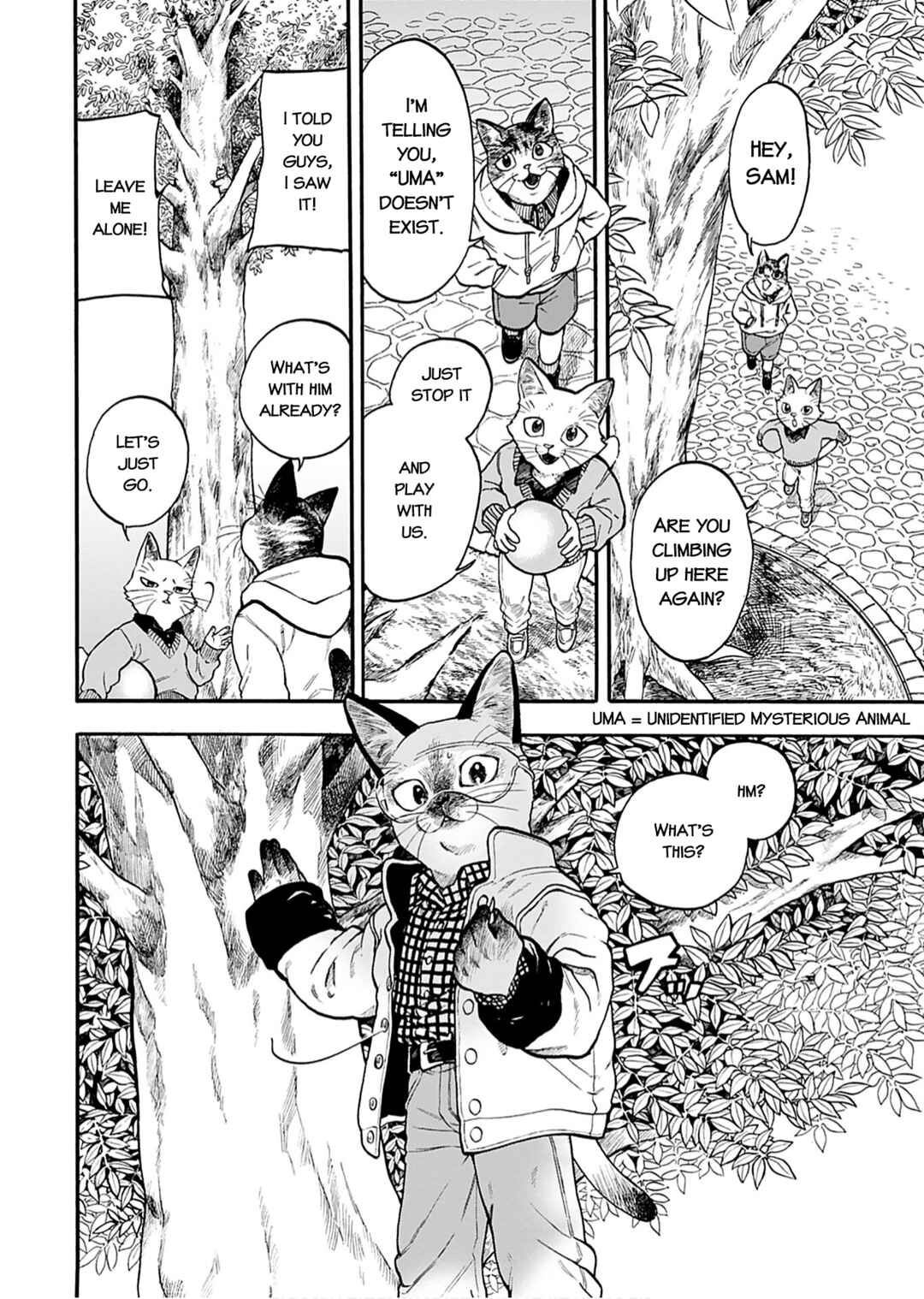 Page 2 Chapter 3 Buddy Cat