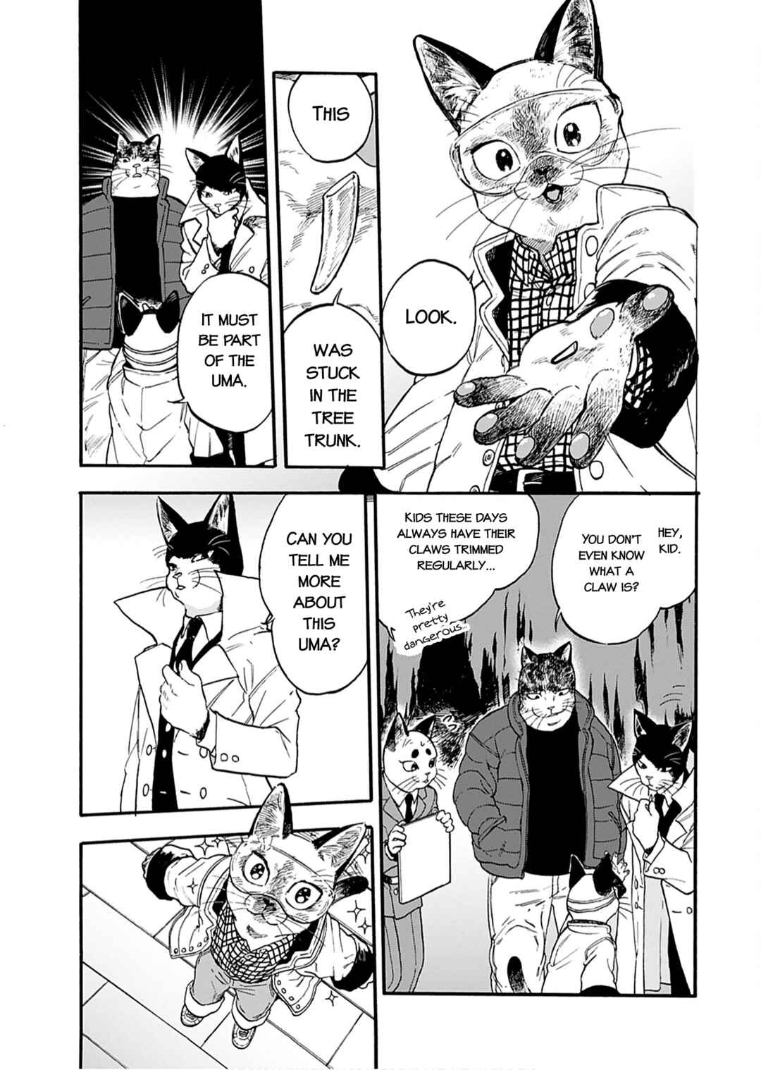 Page 9 Chapter 3 Buddy Cat