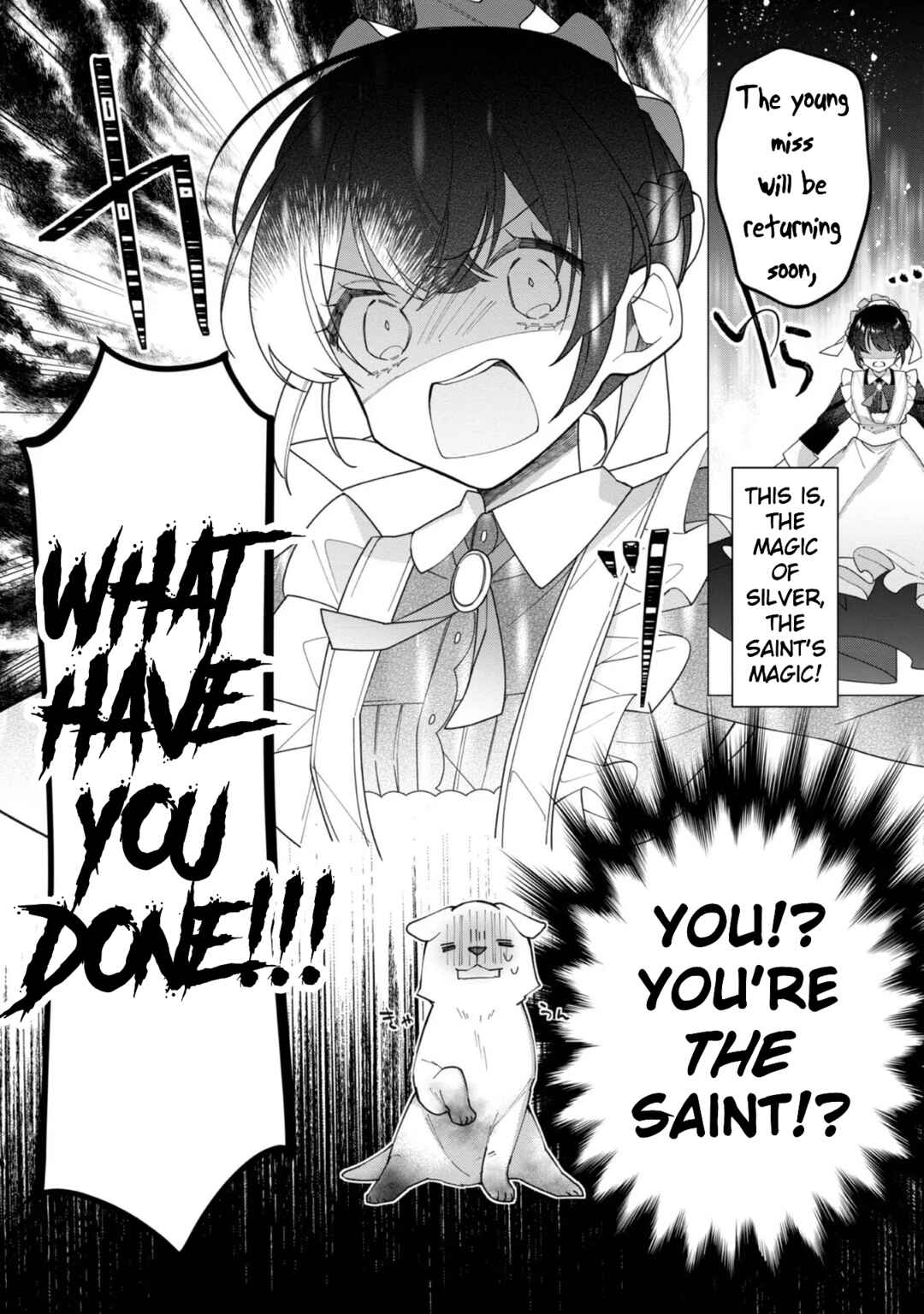 Page 18 Chapter 12 Heroine? Seijo? Iie, All-Works Maid desu (ko)!