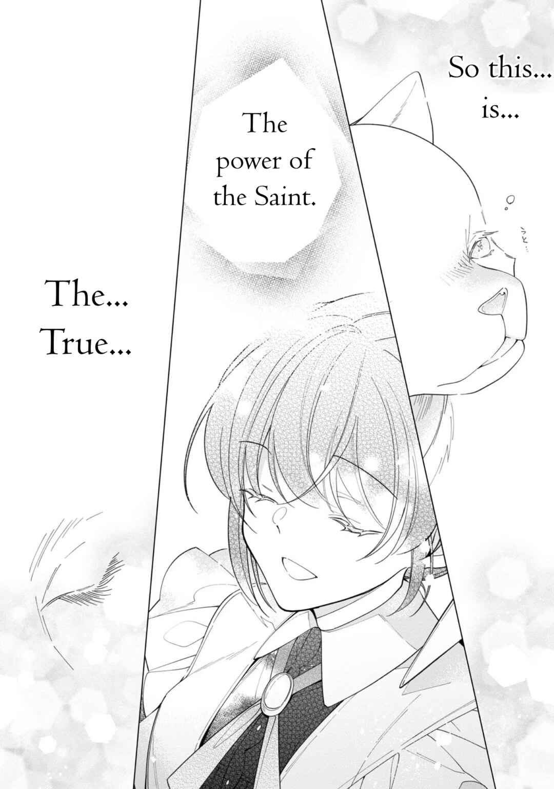 Page 27 Chapter 13 Heroine? Seijo? Iie, All-Works Maid desu (ko)!