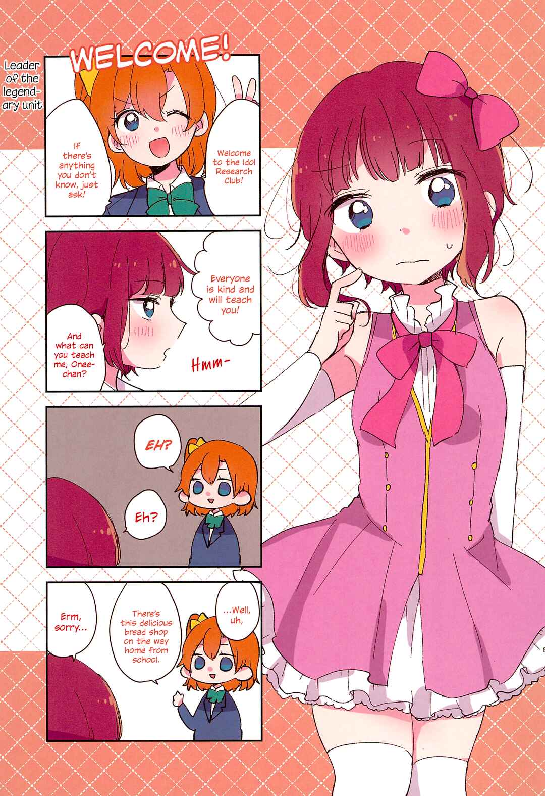 Page 3 Chapter Unknown_42d1 Love Live! - Dear my sister and... (Doujinshi)