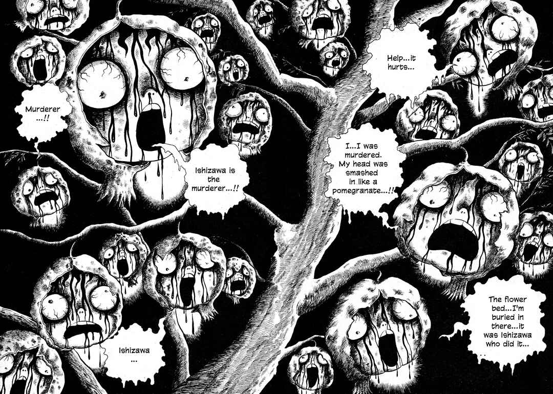 Page 10 Chapter Unknown_4c6e Pomegranate Face