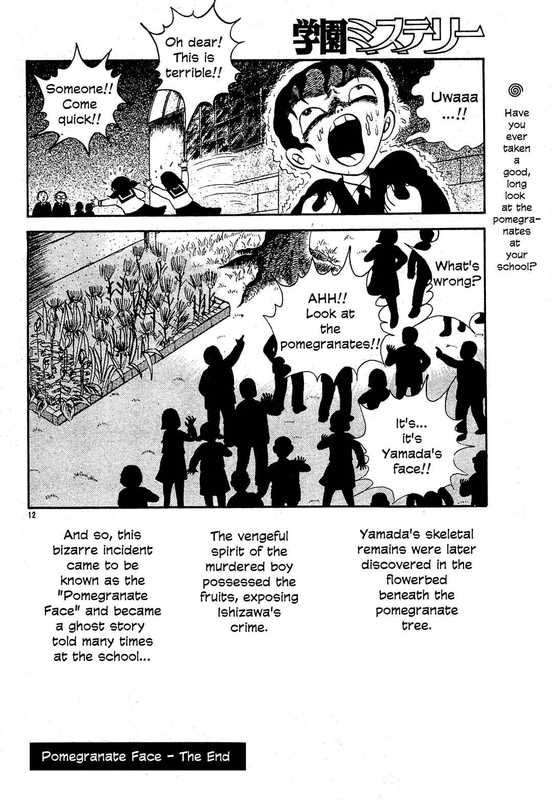 Page 11 Chapter Unknown_4c6e Pomegranate Face