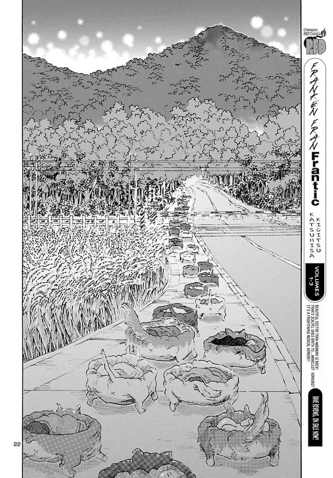 Page 22 Chapter 23 Franken Fran Frantic
