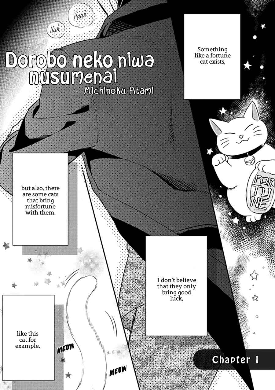 Page 3 Chapter 1 Dorobou Neko ni wa Nusumenai