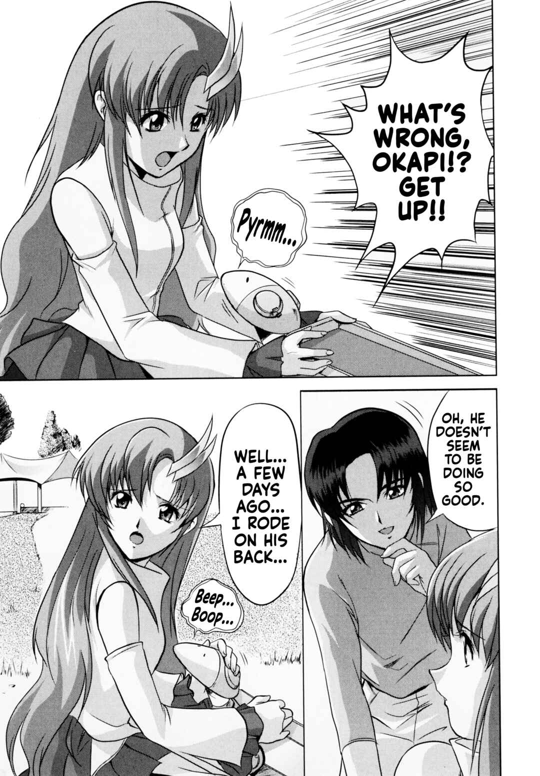 Page 13 Chapter 2 Mobile Suit Gundam SEED featuring SUIT CD
