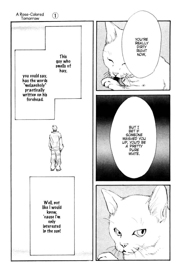 Page 6 Chapter 4 A Rose-Colored Tomorrow