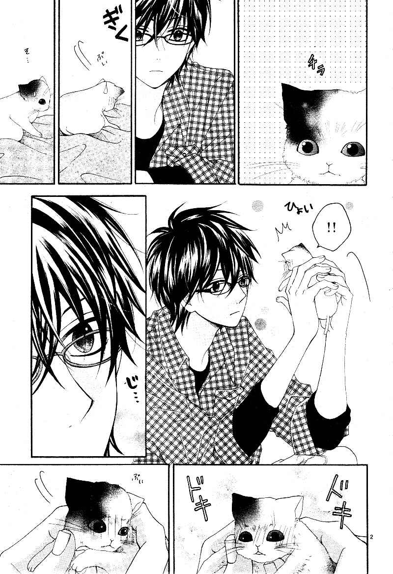 Page 5 Chapter 8.5 Kimi to Koi o Shitta