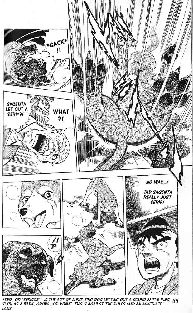 Page 37 Chapter 6 Fangs of White Lotus