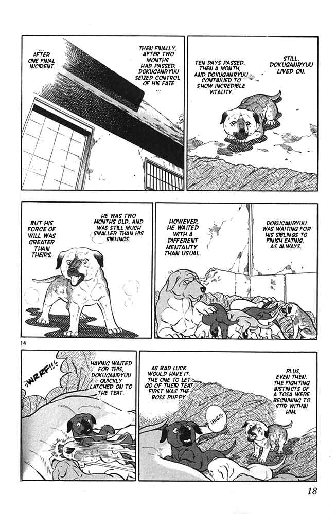 Page 19 Chapter 17 Fangs of White Lotus
