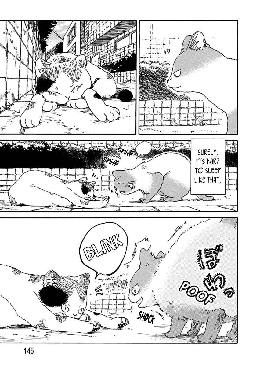Page 3 Chapter 14 Nekomichi