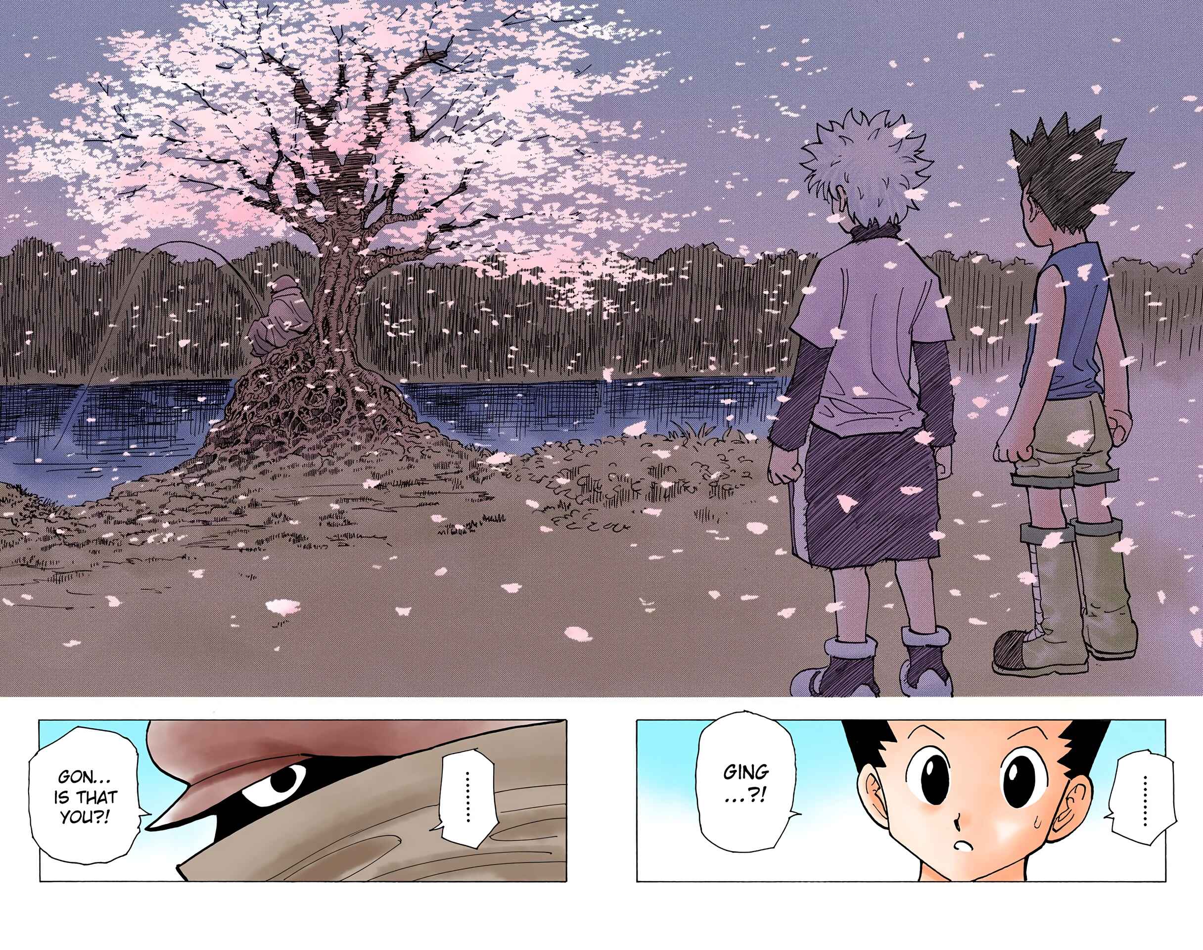 Page 10 Chapter 185 HUNTER x HUNTER (Official Colored)