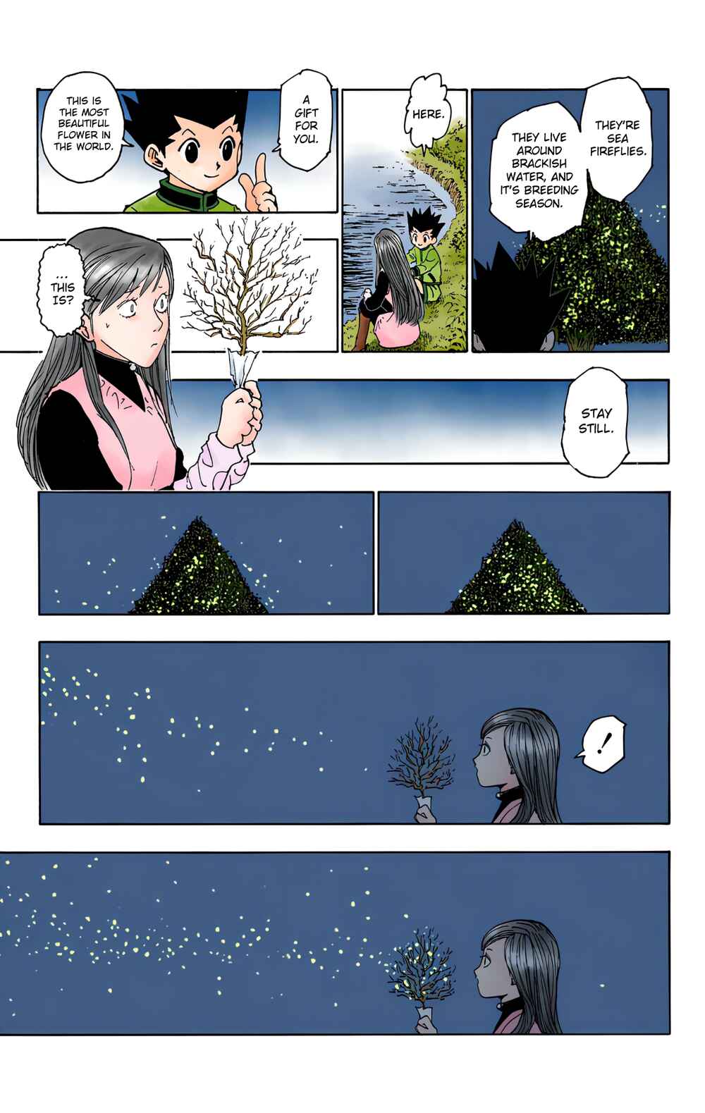 Page 13 Chapter 218 HUNTER x HUNTER (Official Colored)