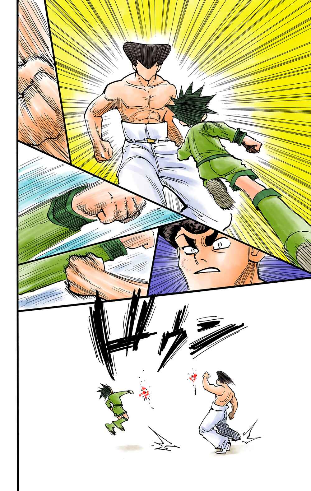 Page 10 Chapter 211 HUNTER x HUNTER (Official Colored)