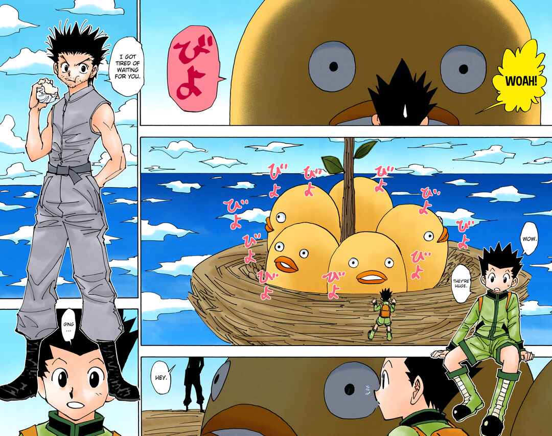 Page 10 Chapter 338 HUNTER x HUNTER (Official Colored)