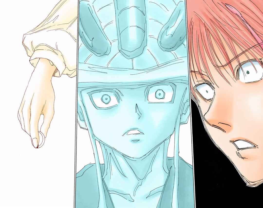Page 6 Chapter 313 HUNTER x HUNTER (Official Colored)