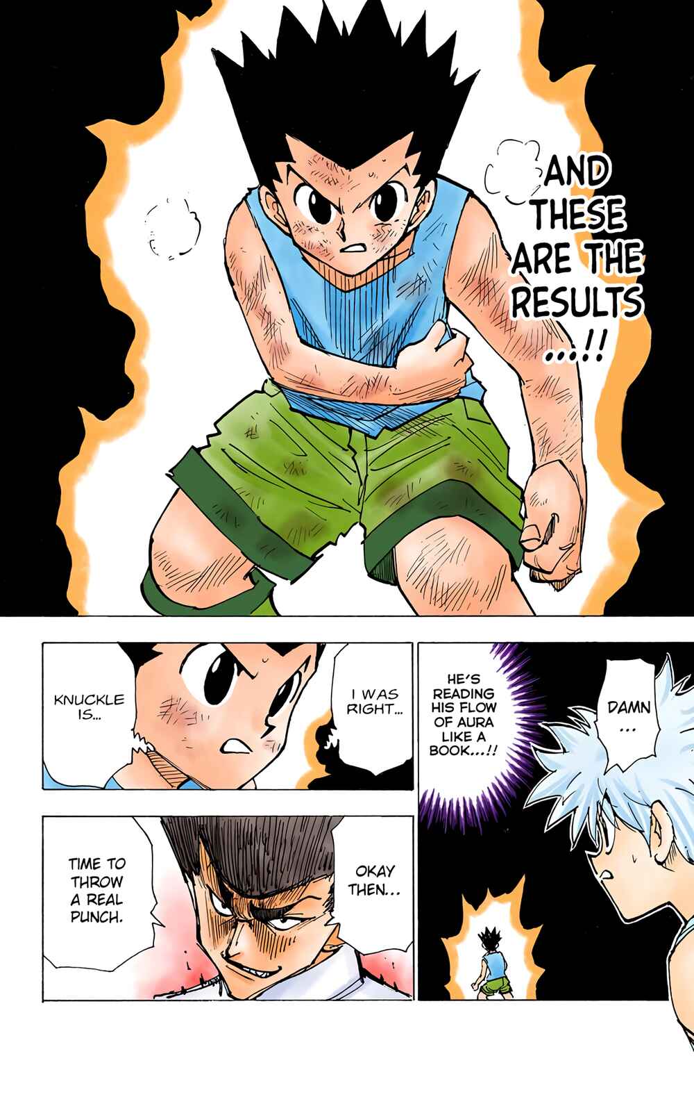 Page 10 Chapter 207 HUNTER x HUNTER (Official Colored)