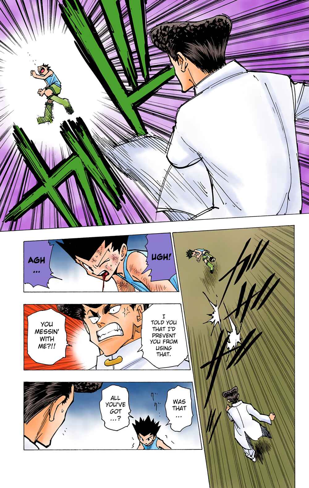 Page 13 Chapter 207 HUNTER x HUNTER (Official Colored)