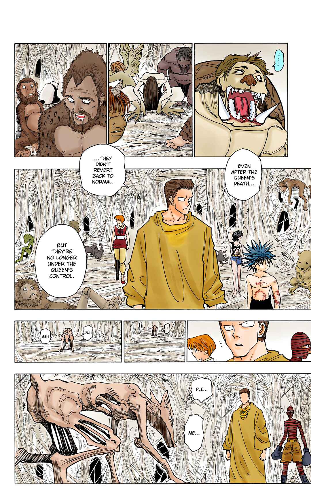 Page 10 Chapter 229 HUNTER x HUNTER (Official Colored)