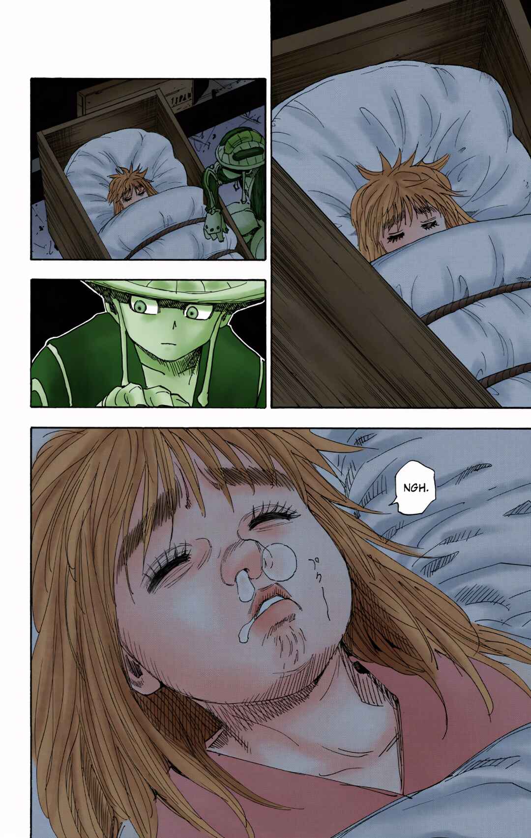 Page 17 Chapter 314 HUNTER x HUNTER (Official Colored)