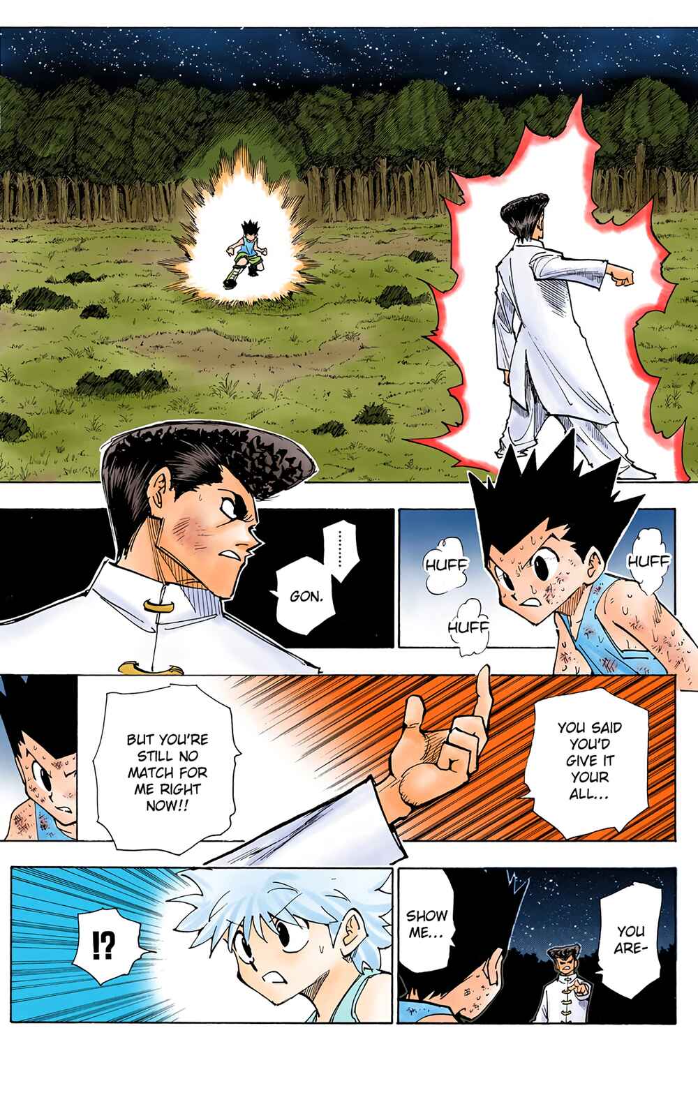 Page 13 Chapter 208 HUNTER x HUNTER (Official Colored)