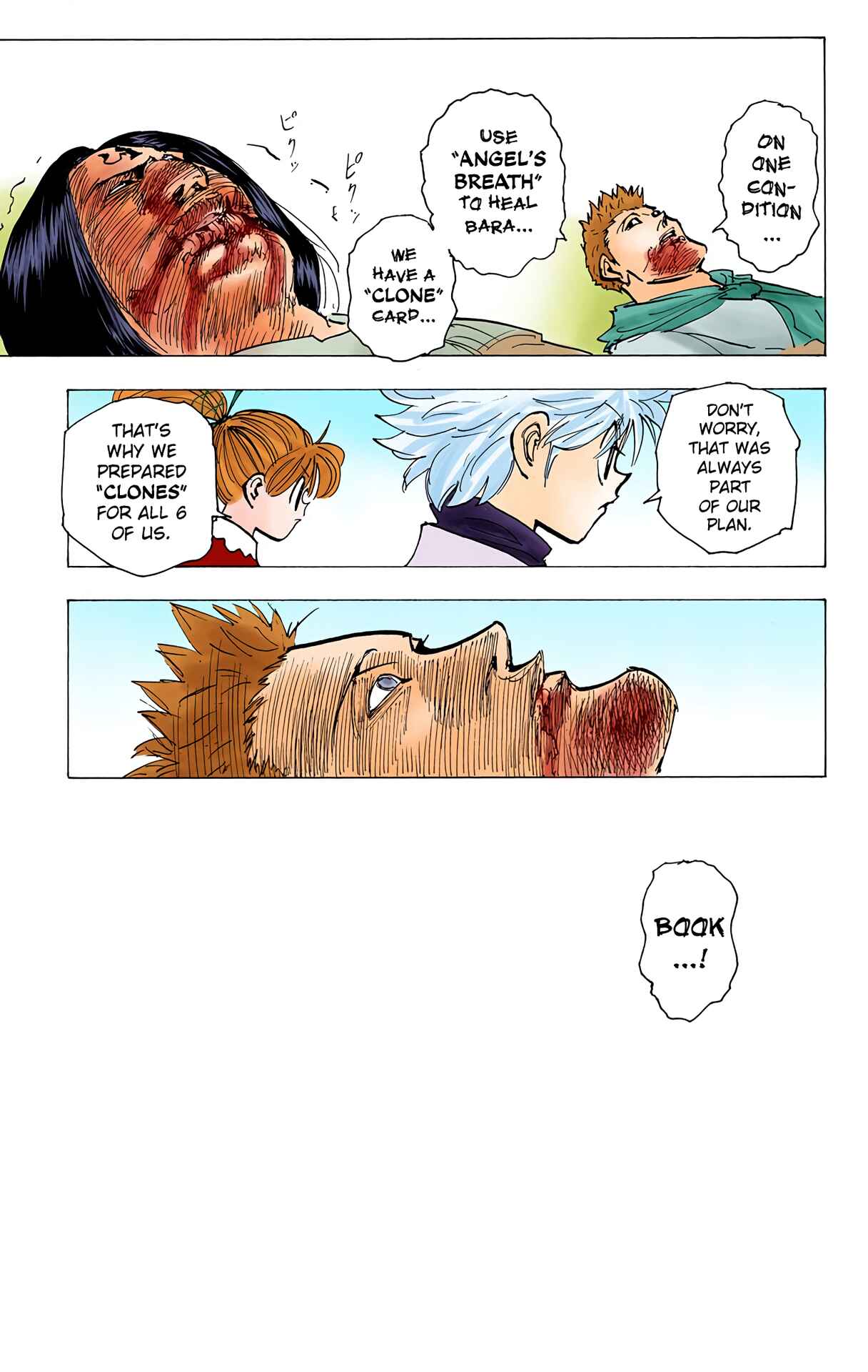 Page 13 Chapter 181 HUNTER x HUNTER (Official Colored)