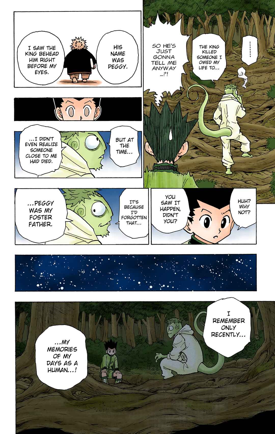 Page 12 Chapter 242 HUNTER x HUNTER (Official Colored)