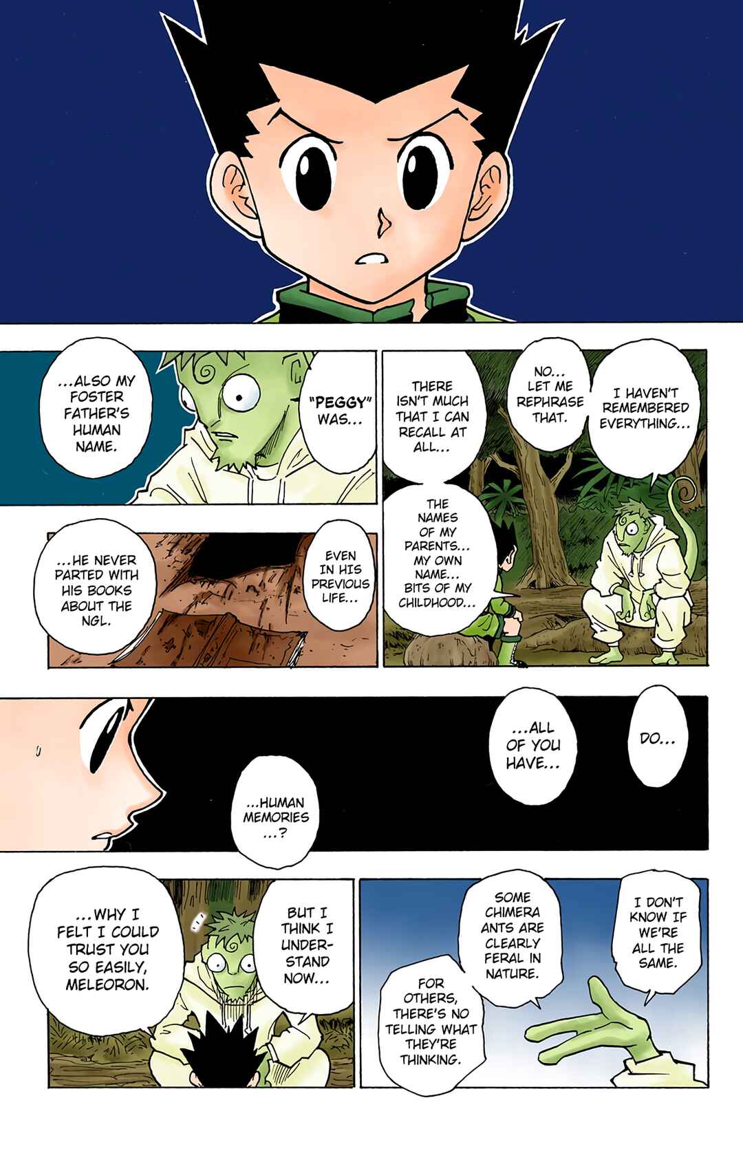 Page 13 Chapter 242 HUNTER x HUNTER (Official Colored)